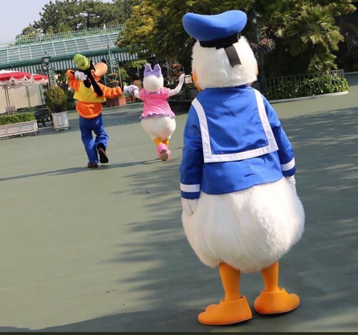 High Quality Goofy, Donald Duck, Daisy Duck Blank Meme Template