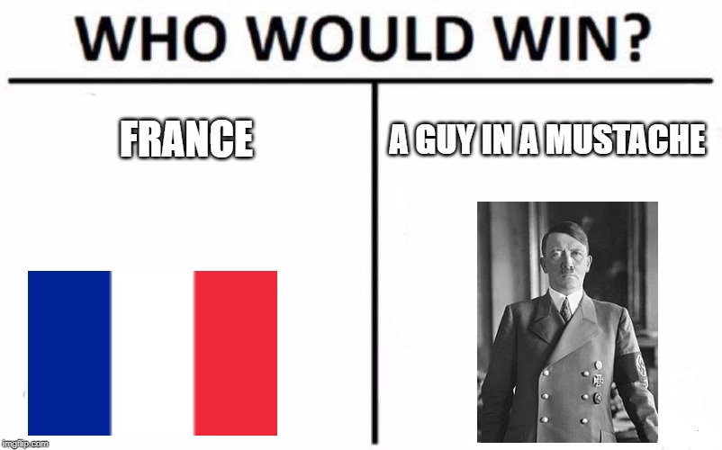 Who Would Win? | FRANCE; A GUY IN A MUSTACHE | image tagged in memes,who would win | made w/ Imgflip meme maker