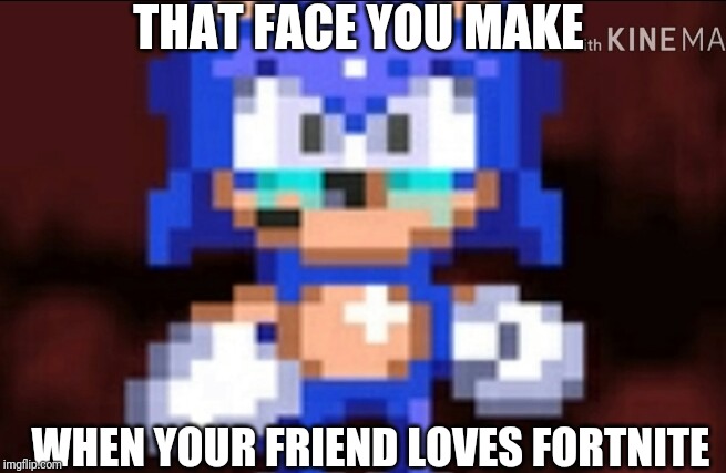 THAT FACE YOU MAKE; WHEN YOUR FRIEND LOVES FORTNITE | made w/ Imgflip meme maker