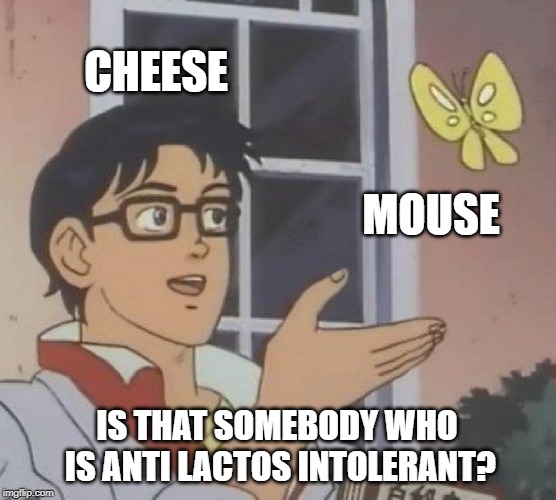 Is This A Pigeon | CHEESE; MOUSE; IS THAT SOMEBODY WHO IS ANTI LACTOS INTOLERANT? | image tagged in memes,is this a pigeon | made w/ Imgflip meme maker