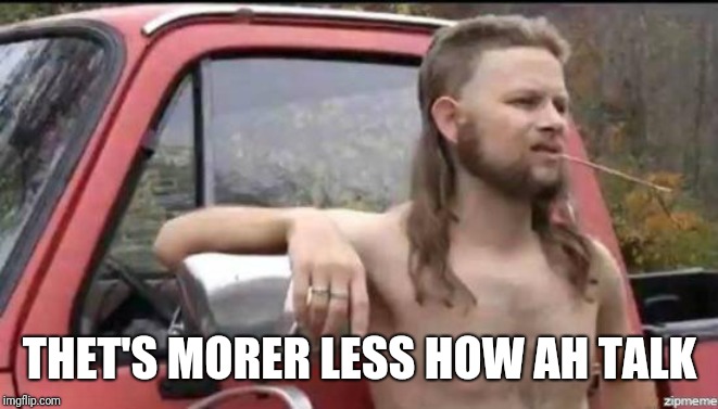 almost politically correct redneck | THET'S MORER LESS HOW AH TALK | image tagged in almost politically correct redneck | made w/ Imgflip meme maker