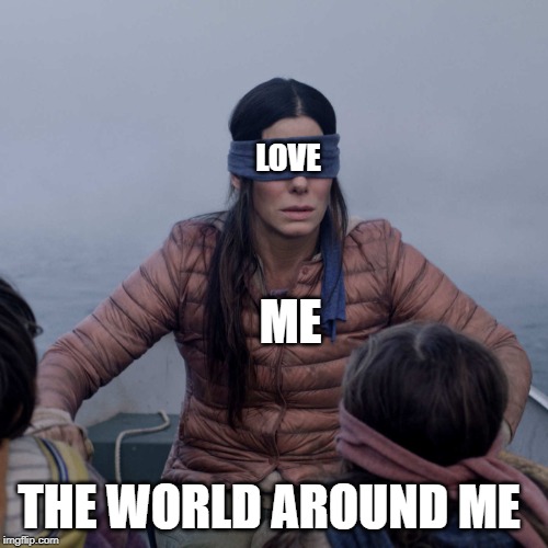 Bird Box | LOVE; ME; THE WORLD AROUND ME | image tagged in memes,bird box | made w/ Imgflip meme maker