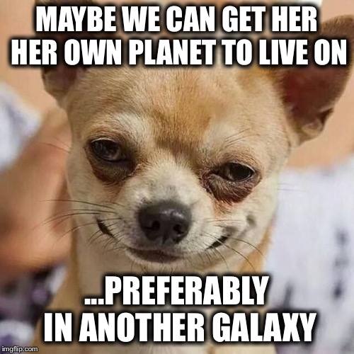 Smirking Dog | MAYBE WE CAN GET HER HER OWN PLANET TO LIVE ON ...PREFERABLY IN ANOTHER GALAXY | image tagged in smirking dog | made w/ Imgflip meme maker