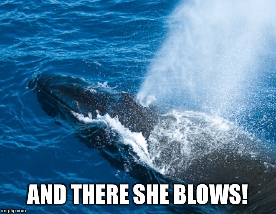 AND THERE SHE BLOWS! | made w/ Imgflip meme maker