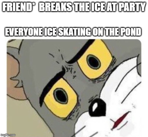 Shocked Tom | FRIEND*  BREAKS THE ICE AT PARTY; EVERYONE ICE SKATING ON THE POND | image tagged in shocked tom | made w/ Imgflip meme maker