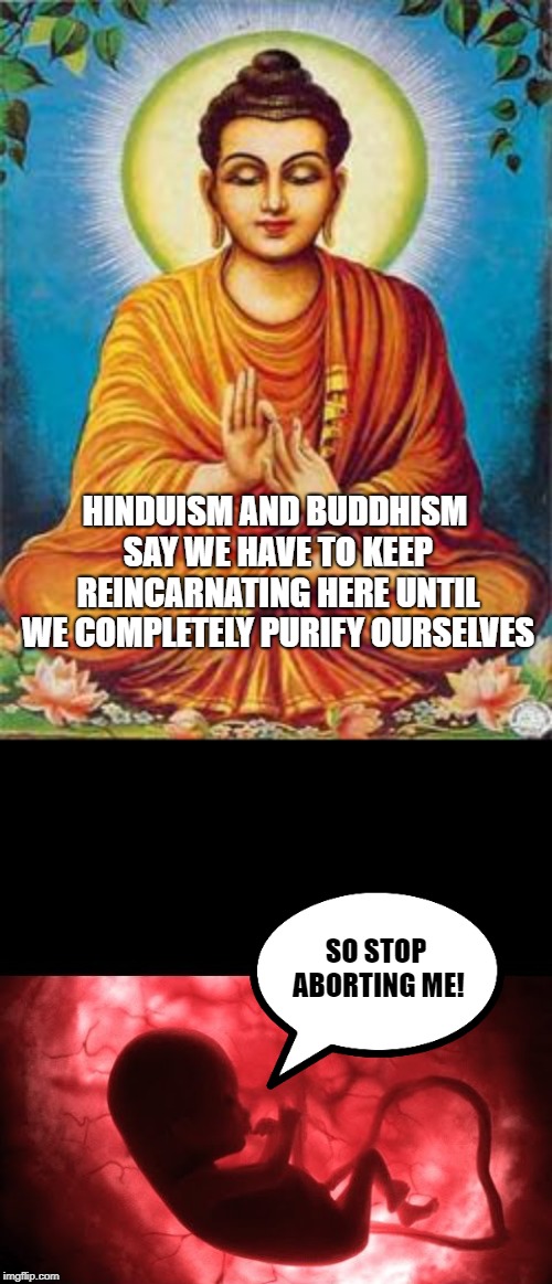 Abortion isn't what liberals or conservatives make it out to be. | HINDUISM AND BUDDHISM SAY WE HAVE TO KEEP REINCARNATING HERE UNTIL WE COMPLETELY PURIFY OURSELVES; SO STOP ABORTING ME! | image tagged in buddha,abortion,pro-choice,pro-life,politics,reincarnation | made w/ Imgflip meme maker