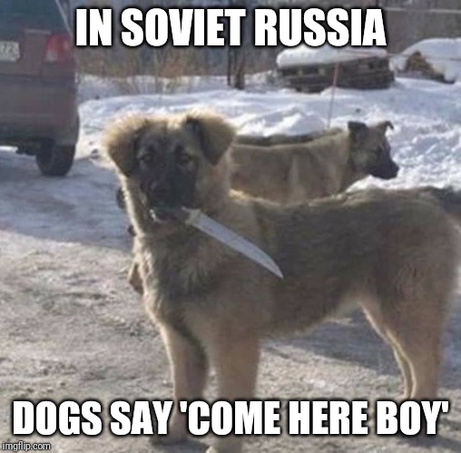 another thing in soviet russia | IN SOVIET RUSSIA; DOGS SAY
'COME HERE BOY' | image tagged in doggo,in soviet russia | made w/ Imgflip meme maker