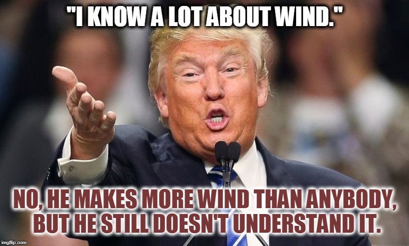 "I KNOW A LOT ABOUT WIND."; NO, HE MAKES MORE WIND THAN ANYBODY, BUT HE STILL DOESN'T UNDERSTAND IT. | image tagged in trump,wind,wind power,energy | made w/ Imgflip meme maker