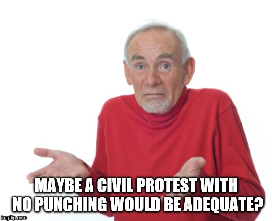 Guess I'll die  | MAYBE A CIVIL PROTEST WITH NO PUNCHING WOULD BE ADEQUATE? | image tagged in guess i'll die | made w/ Imgflip meme maker