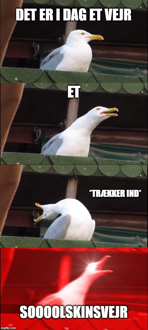 Inhaling Seagull Meme | DET ER I DAG ET VEJR; ET; *TRÆKKER IND*; SOOOOLSKINSVEJR | image tagged in memes,inhaling seagull,Denmark | made w/ Imgflip meme maker