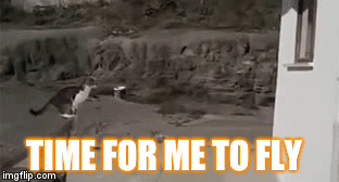 TIME FOR ME TO FLY | image tagged in gifs | made w/ Imgflip video-to-gif maker