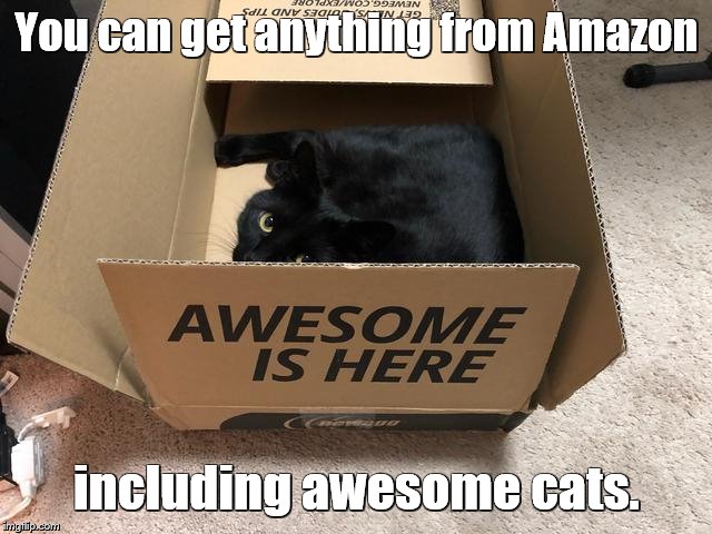 Cat in Amazon box | You can get anything from Amazon; including awesome cats. | image tagged in memes,cats,funny cats,amazon | made w/ Imgflip meme maker