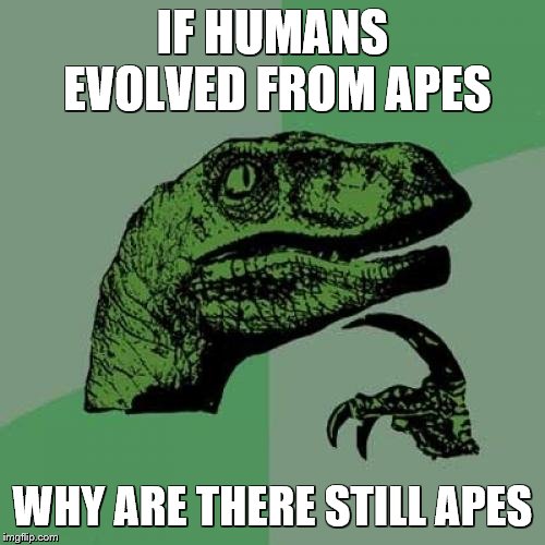 One of my favorite Philosoraptor memes | IF HUMANS EVOLVED FROM APES; WHY ARE THERE STILL APES | image tagged in memes,philosoraptor,humans,apes,evolution,darwin | made w/ Imgflip meme maker