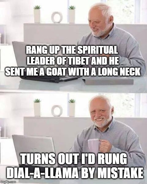 Hide the Pain Harold | RANG UP THE SPIRITUAL LEADER OF TIBET AND HE SENT ME A GOAT WITH A LONG NECK; TURNS OUT I'D RUNG DIAL-A-LLAMA BY MISTAKE | image tagged in memes,hide the pain harold | made w/ Imgflip meme maker