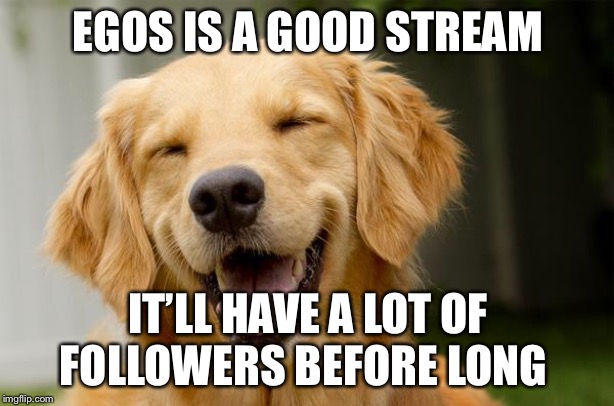 Happy Dog |  EGOS IS A GOOD STREAM; IT’LL HAVE A LOT OF FOLLOWERS BEFORE LONG | image tagged in happy dog | made w/ Imgflip meme maker