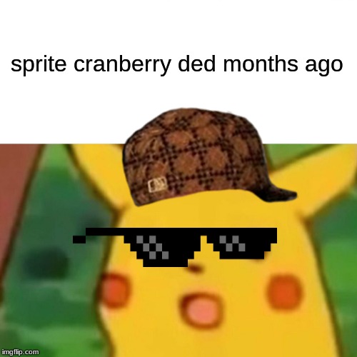 Surprised Pikachu Meme | sprite cranberry ded months ago | image tagged in memes,surprised pikachu | made w/ Imgflip meme maker