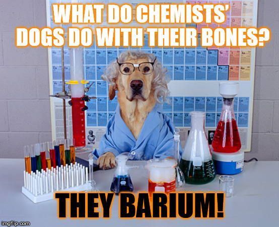 Bad Pun Science Dog ;) | WHAT DO CHEMISTS’ DOGS DO WITH THEIR BONES? THEY BARIUM! | image tagged in funny,memes,bad pun,dogs,chemistry,jokes | made w/ Imgflip meme maker