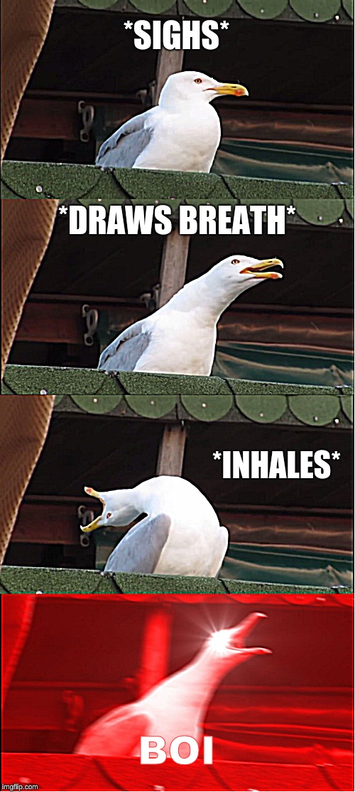 seagull meme |  *SIGHS*; *DRAWS BREATH*; *INHALES*; BOI | image tagged in memes,inhaling seagull,boi,funny memes,dank memes,meme | made w/ Imgflip meme maker