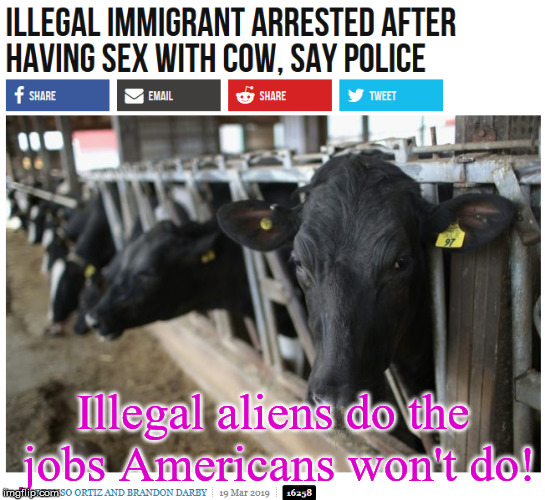 jobs Americans wont do | Illegal aliens do the jobs Americans won't do! | image tagged in criminal illegal aliens,squats,low iq invaders,invasive species | made w/ Imgflip meme maker
