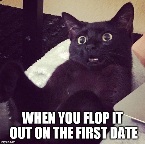Shocked Cat | WHEN YOU FLOP IT OUT ON THE FIRST DATE | image tagged in shocked cat | made w/ Imgflip meme maker