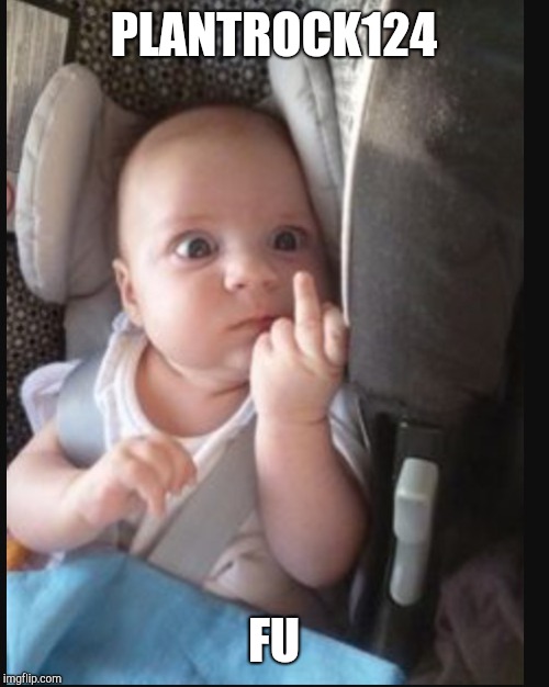 Baby flipping off | PLANTROCK124; FU | image tagged in baby flipping off | made w/ Imgflip meme maker