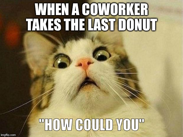 Scared Cat Meme | WHEN A COWORKER TAKES THE LAST DONUT; "HOW COULD YOU" | image tagged in memes,scared cat | made w/ Imgflip meme maker