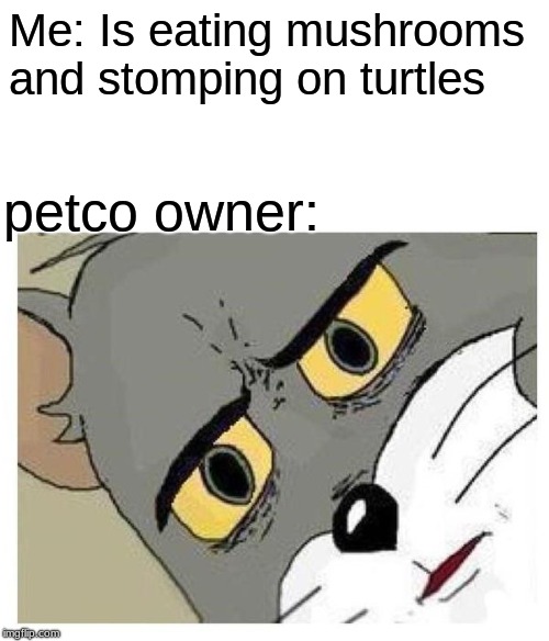 Unsettled Tom | Me: Is eating mushrooms and stomping on turtles; petco owner: | image tagged in unsettled tom | made w/ Imgflip meme maker