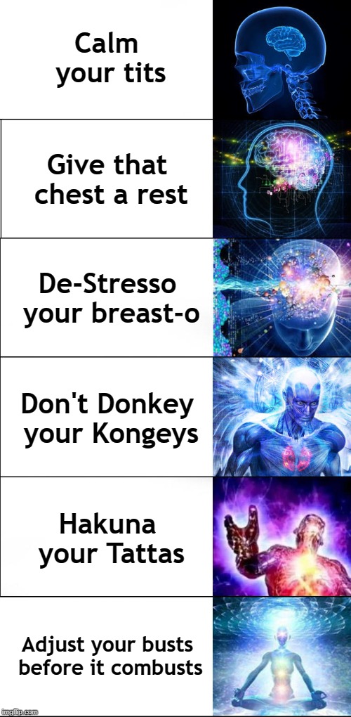 Go ahead, pick the one for you | Calm your tits; Give that chest a rest; De-Stresso your breast-o; Don't Donkey your Kongeys; Hakuna your Tattas; Adjust your busts before it combusts | image tagged in expanding brain | made w/ Imgflip meme maker