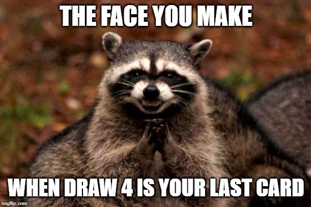 Evil Plotting Raccoon Meme | THE FACE YOU MAKE WHEN DRAW 4 IS YOUR LAST CARD | image tagged in memes,evil plotting raccoon | made w/ Imgflip meme maker