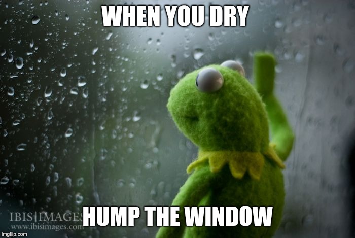 kermit window | WHEN YOU DRY; HUMP THE WINDOW | image tagged in kermit window | made w/ Imgflip meme maker
