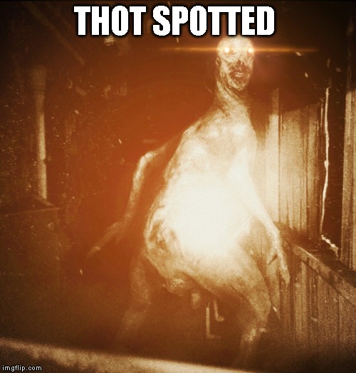 Scp | THOT SPOTTED | image tagged in scp,thots | made w/ Imgflip meme maker