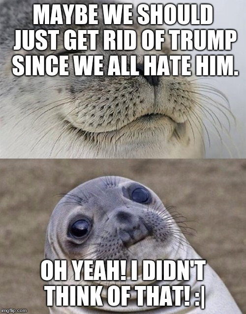 God, are we all idiots? | MAYBE WE SHOULD JUST GET RID OF TRUMP SINCE WE ALL HATE HIM. OH YEAH! I DIDN'T THINK OF THAT! :| | image tagged in memes,short satisfaction vs truth | made w/ Imgflip meme maker