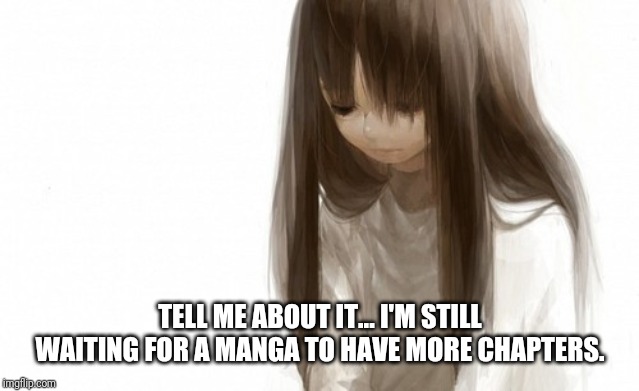 Sad anime girl | TELL ME ABOUT IT... I'M STILL WAITING FOR A MANGA TO HAVE MORE CHAPTERS. | image tagged in sad anime girl | made w/ Imgflip meme maker