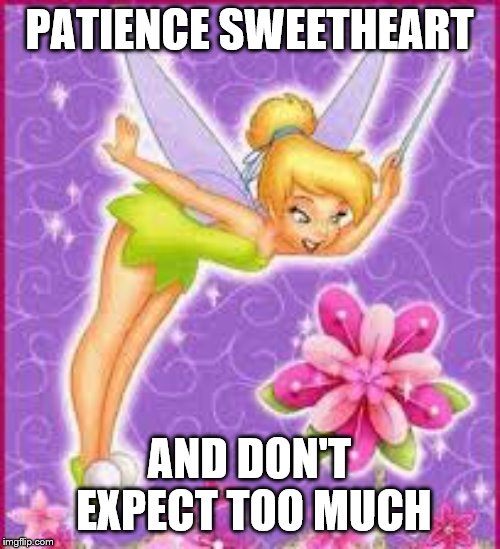 tinkerbell | PATIENCE SWEETHEART AND DON'T EXPECT TOO MUCH | image tagged in tinkerbell | made w/ Imgflip meme maker