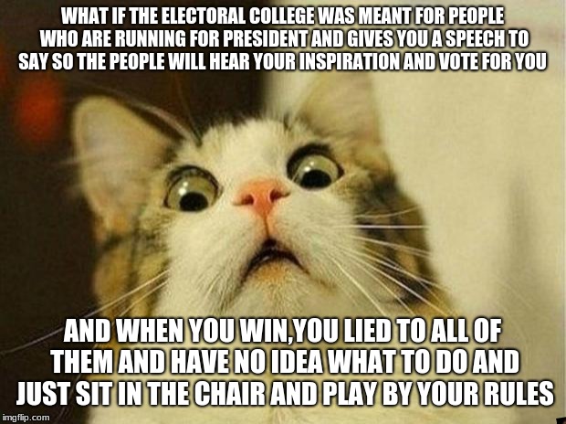Scared Cat | WHAT IF THE ELECTORAL COLLEGE WAS MEANT FOR PEOPLE WHO ARE RUNNING FOR PRESIDENT AND GIVES YOU A SPEECH TO SAY SO THE PEOPLE WILL HEAR YOUR INSPIRATION AND VOTE FOR YOU; AND WHEN YOU WIN,YOU LIED TO ALL OF THEM AND HAVE NO IDEA WHAT TO DO AND JUST SIT IN THE CHAIR AND PLAY BY YOUR RULES | image tagged in memes,scared cat | made w/ Imgflip meme maker