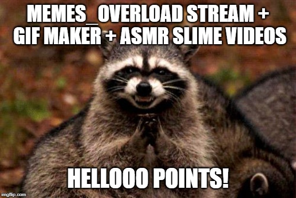 Evil Plotting Raccoon Meme | MEMES_OVERLOAD STREAM + GIF MAKER + ASMR SLIME VIDEOS; HELLOOO POINTS! | image tagged in memes,evil plotting raccoon | made w/ Imgflip meme maker