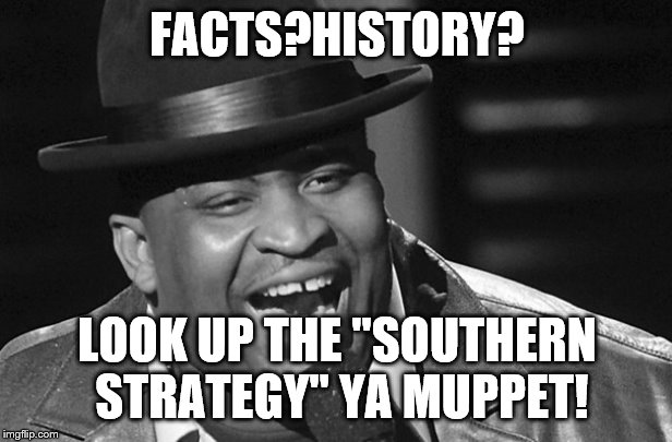 FACTS?HISTORY? LOOK UP THE "SOUTHERN STRATEGY" YA MUPPET! | made w/ Imgflip meme maker