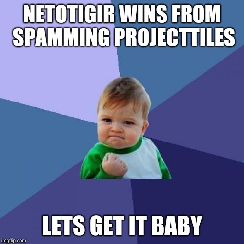 Success Kid Meme | NETOTIGIR WINS FROM SPAMMING PROJECTTILES; LETS GET IT BABY | image tagged in memes,success kid | made w/ Imgflip meme maker