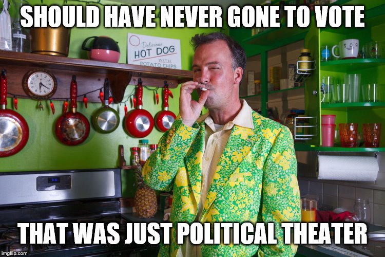 SHOULD HAVE NEVER GONE TO VOTE THAT WAS JUST POLITICAL THEATER | made w/ Imgflip meme maker