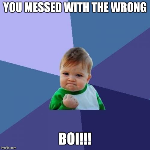 Success Kid | YOU MESSED WITH THE WRONG; BOI!!! | image tagged in memes,success kid | made w/ Imgflip meme maker
