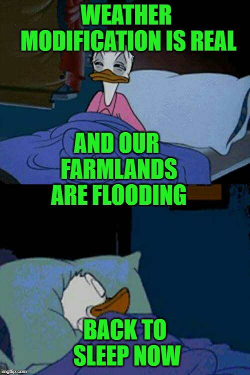 sleepy donald duck in bed | WEATHER MODIFICATION IS REAL; AND OUR FARMLANDS ARE FLOODING; BACK TO SLEEP NOW | image tagged in sleepy donald duck in bed | made w/ Imgflip meme maker