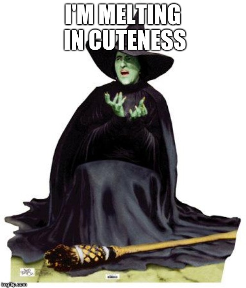 Wizard of Oz Melting | I'M MELTING IN CUTENESS | image tagged in wizard of oz melting | made w/ Imgflip meme maker