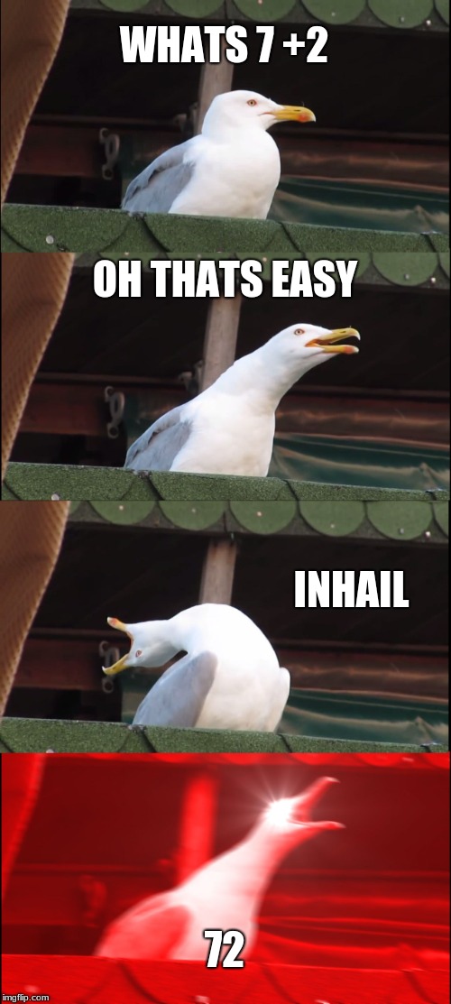 Inhaling Seagull | WHATS 7 +2; OH THATS EASY; INHAIL; 72 | image tagged in memes,inhaling seagull | made w/ Imgflip meme maker