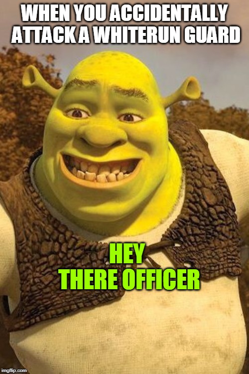 Smiling Shrek | WHEN YOU ACCIDENTALLY ATTACK A WHITERUN GUARD; HEY THERE OFFICER | image tagged in smiling shrek | made w/ Imgflip meme maker