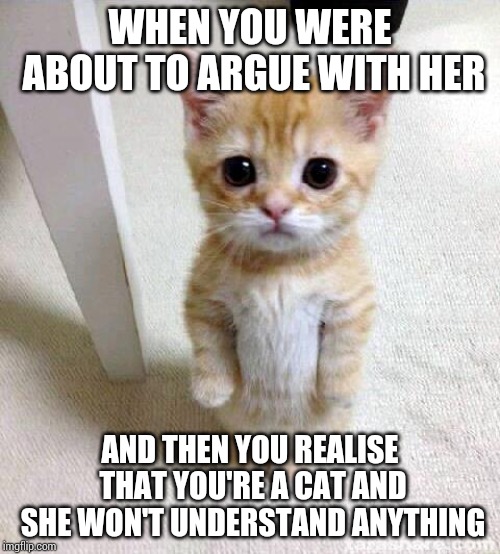 Cute Cat | WHEN YOU WERE ABOUT TO ARGUE WITH HER; AND THEN YOU REALISE THAT YOU'RE A CAT AND SHE WON'T UNDERSTAND ANYTHING | image tagged in memes,cute cat | made w/ Imgflip meme maker