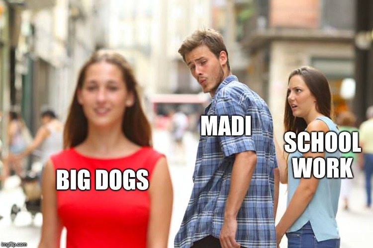 Distracted Boyfriend Meme | MADI; SCHOOL WORK; BIG DOGS | image tagged in memes,distracted boyfriend | made w/ Imgflip meme maker