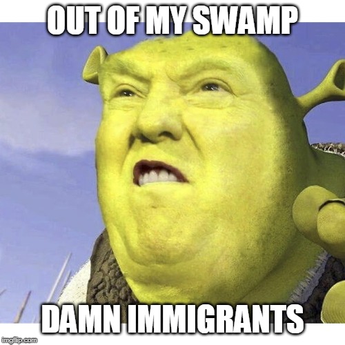 Donald Trump Shrek | OUT OF MY SWAMP; DAMN IMMIGRANTS | image tagged in donald trump shrek | made w/ Imgflip meme maker