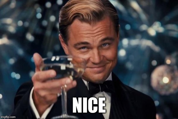 Leonardo Dicaprio Cheers Meme | NICE | image tagged in memes,leonardo dicaprio cheers | made w/ Imgflip meme maker