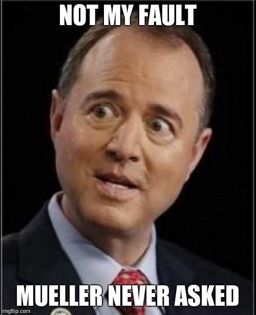 Adam Schiff | NOT MY FAULT MUELLER NEVER ASKED | image tagged in adam schiff | made w/ Imgflip meme maker