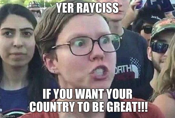 Triggered Liberal | YER RAYCISS IF YOU WANT YOUR COUNTRY TO BE GREAT!!! | image tagged in triggered liberal | made w/ Imgflip meme maker